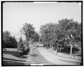 The Meredith Road, Centre Harbor, Lake Winnipesaukee, N.H., c1906. Creator: Unknown.