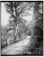 Schooley's Mtn., road from Hackettstown, N.J., between 1890 and 1901. Creator: Unknown.