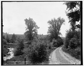 Lake Skaneateles, N.Y., the gorge road, between 1890 and 1901. Creator: Unknown.