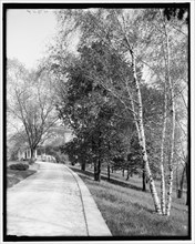 Driveway, Walnut Hills, Cincinnati, Ohio, between 1900 and 1910. Creator: Unknown.