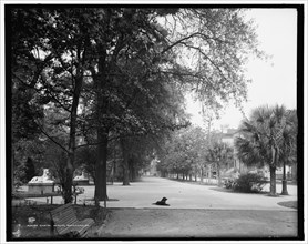 Gaston Street, Savannah, Ga., c1907. Creator: Unknown.