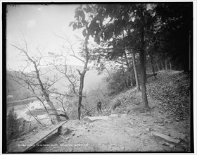 Trail to Winona Cliff, Delaware Water Gap, between 1890 and 1901. Creator: Unknown.