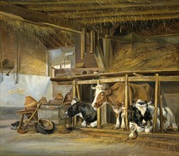 Cows in a Stable, 1820. Creator: Jan van Ravenswaay.