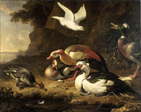 Ducks, c.1675-c.1680. Creator: Melchior d'Hondecoeter.