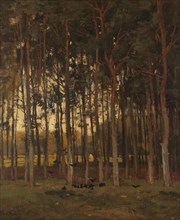 View in the Woods, c.1870-c.1904. Creator: Théophile de Bock.