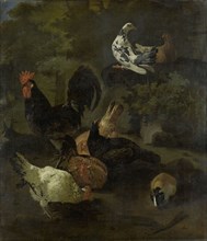 A Cock, Hens, Doves, and a Marmot, 1674. Creator: Jacomo Victors.