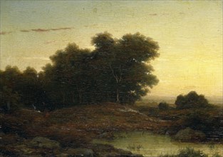 View in the Woods at Sunset, 1849. Creator: Louwrens Hanedoes.