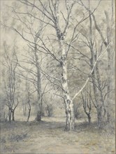 Forest with birch trees, 1875-1910. Creator: Alphonse Stengelin.