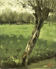 The Willow, c.1873-c.1903. Creator: George Poggenbeek.