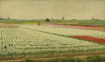 Tulip Fields, 1890-1922. Creator: Gerrit Willem Dijsselhof.