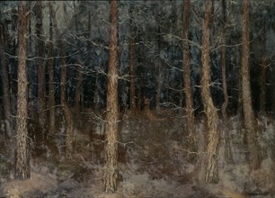 'Mystical paths': forest view, 1907.  Creator: Gustaaf Frederik van de Wall Perné.