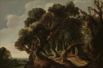 Wooded Landscape, c.1633. Creator: Jacob Jacobsz. Van Geel.
