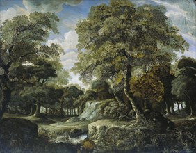 View in the Woods, 1660-1690. Creator: Jan van der Heyden.