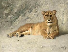 Lioness Resting, 1885. Creator: Jan van Essen.
