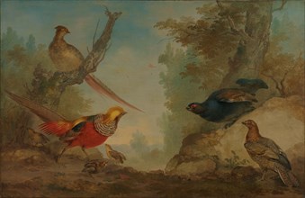 Pheasants, 1730-1760. Creator: Aert Schouman.