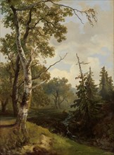 Forest view at Wolfheze, 1860-1890.  Creator: Johannes Warnardus Bilders.