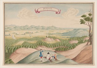 View of the Pepper Plantation in the Baygam Area, c.1750. Creator: Anon.