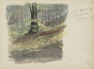 Forest path, 1896. Creator: Christiaan Huidekoper.
