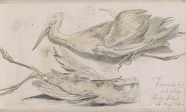 Dead Heron, 1864. Creator: Johannes Tavenraat.