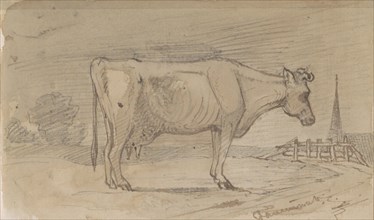 Cow in a meadow, 1864-1880. Creator: Johannes Tavenraat.