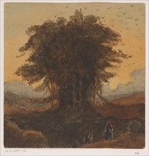 The tree with many birds, 1819-1881. Creator: Johannes Tavenraat.