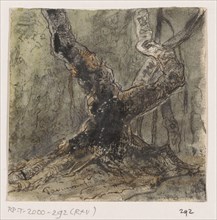 Tree, 1861. Creator: Johannes Tavenraat.
