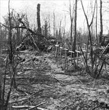 ''Tombes de soldats dans le bois d'Avocourt', 1916. Creator: Unknown.