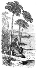 Sketches in Southern Australia - the Dead Emu, 1857. Creator: Unknown.