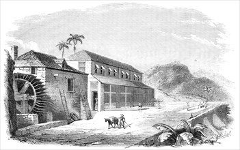 A Bocan, or Cocoa-Drying House in Granada, 1857. Creator: Percy.