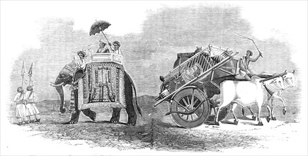 Harbee Nawab and Attendants - Elephant Prince; Bullock Cart for Removing Luggage, 1857.  Creator: Unknown.