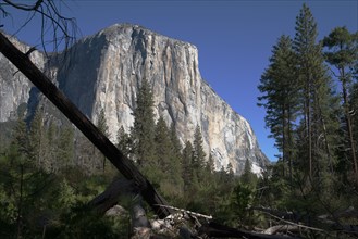 El Capitan, Yosemite, California, USA, 2022. Creator: Ethel Davies.