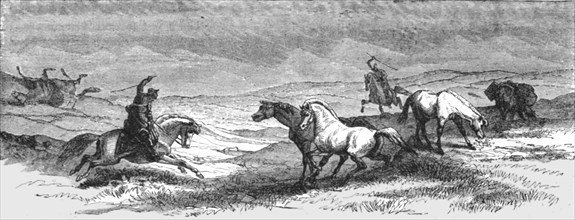 'Driving Ponies; An Icelanders Notes on Iceland', 1875. Creator: Unknown.