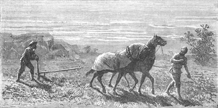 ''Ploughing in Turkestan; Notes on Western Turkistan', 1875. Creator: Unknown.