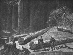 ''Camp in a Pine Forest; A Naturalist's Excursion in Wisconsin', 1875. Creator: Unknown.