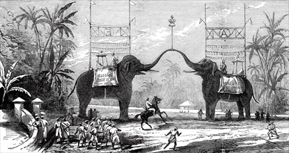 Arch at Colombo, Ceylon, on the occasion of the Royal Visit, from a sketch by one..., 1876. Creator: Unknown.