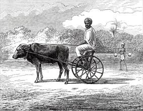 Ramasawmy going to Bazaar, Madras, 1876. Creator: Unknown.