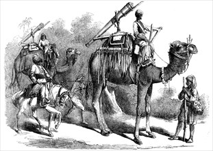 Camel Jingalls, 1858. Creator: Unknown.
