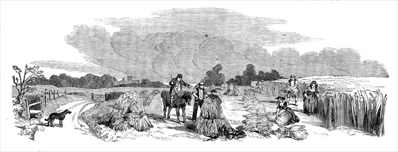 Harvest Operations - Reaping, 1858. Creator: Unknown.