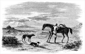 Antelope-Hunting in India - Preparing to Return, 1858. Creator: Unknown.