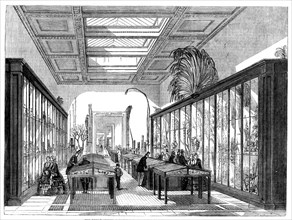 The Newly Opened Botanical Room at the British Museum, 1858. Creator: Unknown.