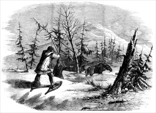 Moose-hunting in Canada - the Attack, 1858. Creator: Unknown.