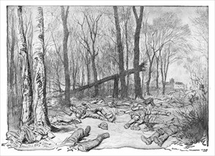 'Dans la Bataille; cadavres de soldats allemands de la 1st division de la Garde, dans le..., 1918. Creator: Georges Bertin Scott.