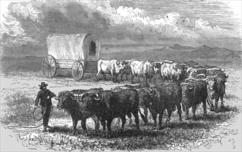 'The "Prairie Schooner". -- Emigrant wagon on the plains; Ocean to Ocean, the Pacific..., 1875. Creator: Frederick Whymper.