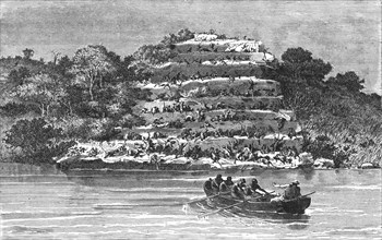 'Resort of Apes on the banks of the Senegal; Journey from the Senegal to the Niger', 1875. Creator: Unknown.
