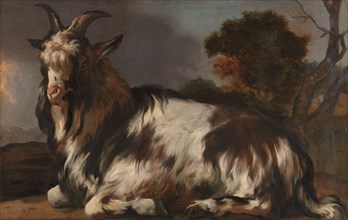 Goat Lying Down, 1645-1660. Creator: Jan Baptist Weenix.