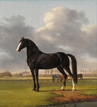 Adriaan van der Hoop’s Trotter ‘De Vlugge’ (The Fast One) in a Meadow, 1828. Creator: Anthony Oberman.