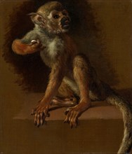 A Seated Monkey, before 1685. Creator: Jan Weenix.