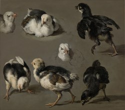 Seven Chicks, c.1665-c.1668. Creator: Melchior d'Hondecoeter.