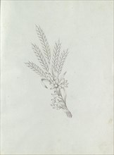 Jewel with grain and flowers, c.1800-c.1810. Creator: Carl Friedrich Bärthel.