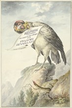 Crested vulture with a sheet of paper in its beak, 1763-1824.  Creator: Circle of François Le Vaillant.